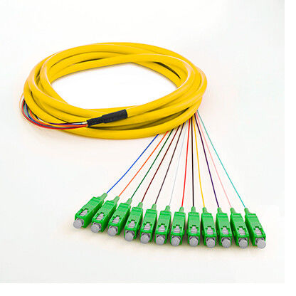 SM SX 0.9mm Kabel Jumper Serat Optik 12 Inti Dengan Jenis Penggemar, Stabilitas Temperture Tinggi