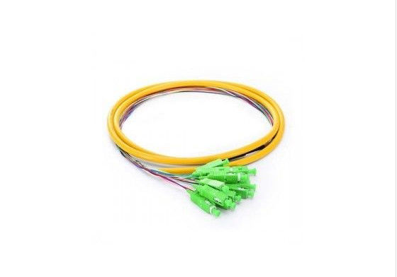 Cina SM SX 0.9mm Pigtail Kabel Jumper, 12 Core Kuncir Pendek Dengan Kipas Jenis Stabilitas Suhu Tinggi pemasok