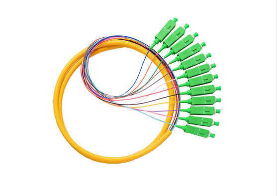 SM SX 0.9mm Pigtail Kabel Jumper, 12 Core Kuncir Pendek Dengan Kipas Jenis Stabilitas Suhu Tinggi pemasok