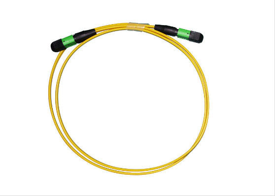 Kabel Patch MPO Pria / UPC Compact SMF 2 - 24 Cores IS0 / ROHS Terdaftar Tahan Lama pemasok